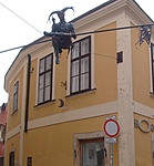 Mondom, behajtani tilos!! vagy a nyakadba ugorjak tán?!