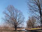 Uralkodó szélirány
