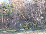 lankás