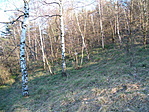 emelkedő