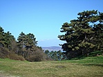 Pineák és Balaton