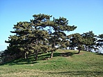 Mediterrán hangulat
