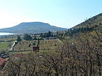 Az arborétum