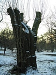 Rejtek