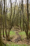 Patakmeder