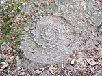 A lenyomat
