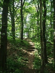 Csiklingvár