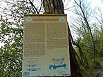 Balaton kialakulasa