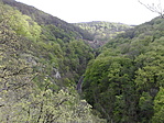 Felülről