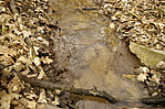 patak II.