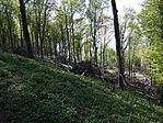 Viharkár a Magyar-hegyen