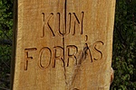 Forrásnál