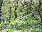 becélozva