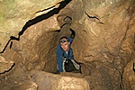 Nagy barlangi denevér