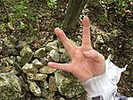 west side?