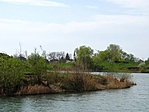 Ongai tavak