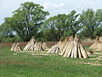 Nádaratás után