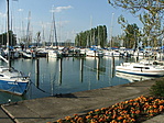 Kikötő
