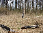 Gubacsipuszta