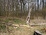 Gubacsipuszta