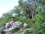 A közelben