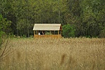 A megfigyelő-kunyhó