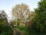 a következő pont felé