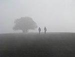 lányok a reggeli ködben