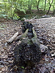 Vályú