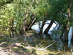 ártér3