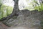Kőfa