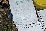 Ott jártunk
