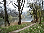 Halastó