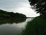 Tópart