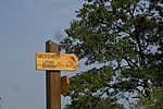 Erről érkeztem