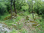 Bába-kő