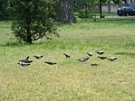 egyirányban