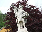 Szőlő