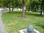 bolygóközben fatörzs