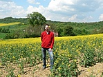 virágzik a repce a fülemen :)