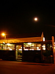 Hazafele