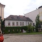 Rejtekadó fal vadszőlővel