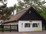 Nádtetős