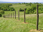 Lankás