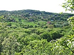 Kilátás a ládától