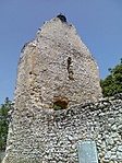 fészek