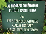 Szabály