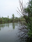 Tópart