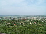 Alattunk Nyúl