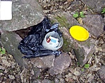 A láda